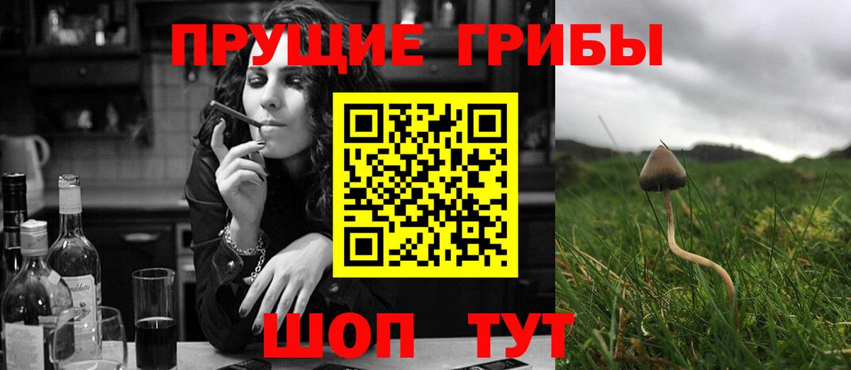 Псилоцибиновые грибы Psilocybine cubensis  Псилоцибиновые грибы MAGIC MUSHROOMS  Вход с VPN  Верхняя Салда 