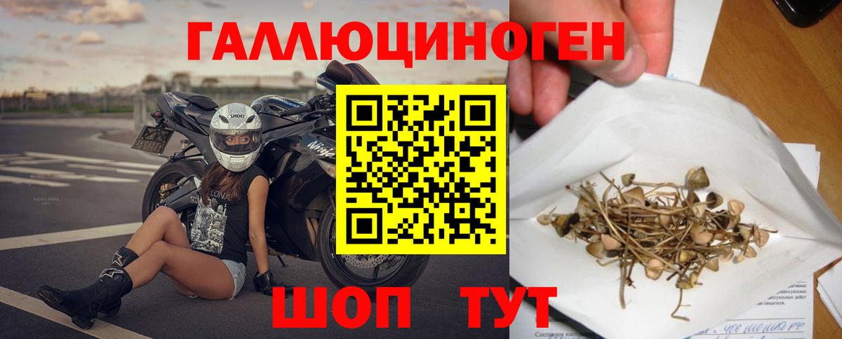 Галлюциногенные грибы Magic Shrooms Верхняя Салда